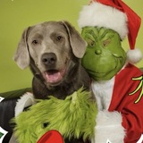 Entry image for Blaze 