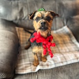 Entry image for Cooper