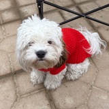 Entry image for Blossom