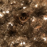 Entry image for Autumn