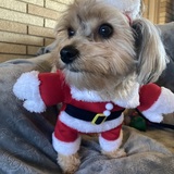 Entry image for Lexi