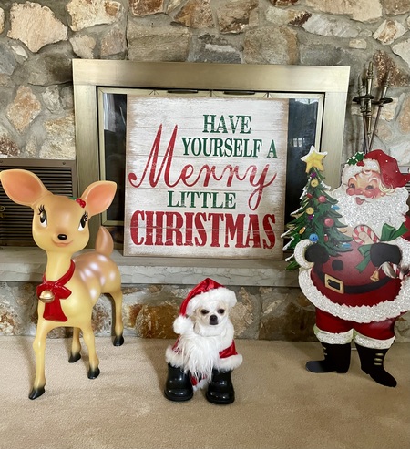 Entry image for Jack. Clicking this image will show a larger photo