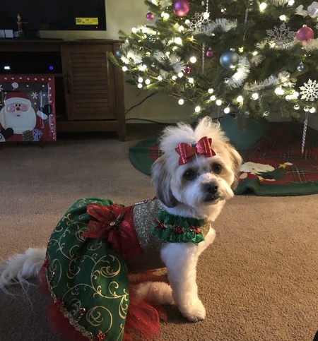 Entry image for Phoebe . Clicking this image will show a larger photo