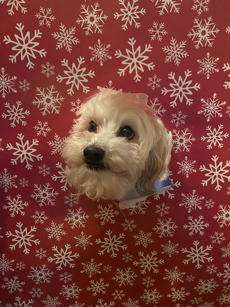 Entry image for Andy. Clicking this image will show a larger photo