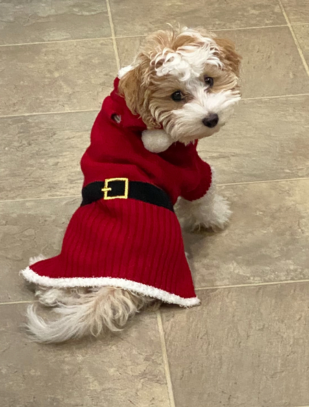 Entry image for Honey B. Jeter . Clicking this image will show a larger photo