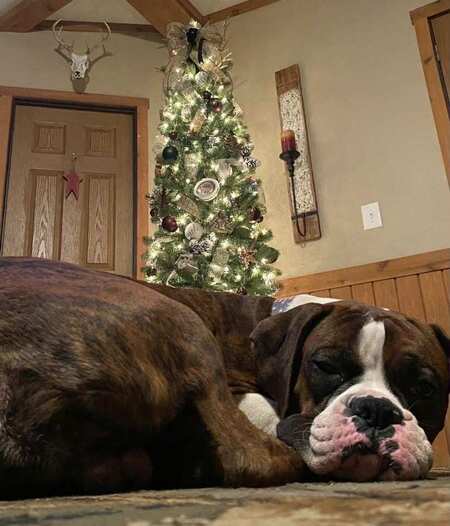 Entry image for Waylon. Clicking this image will show a larger photo