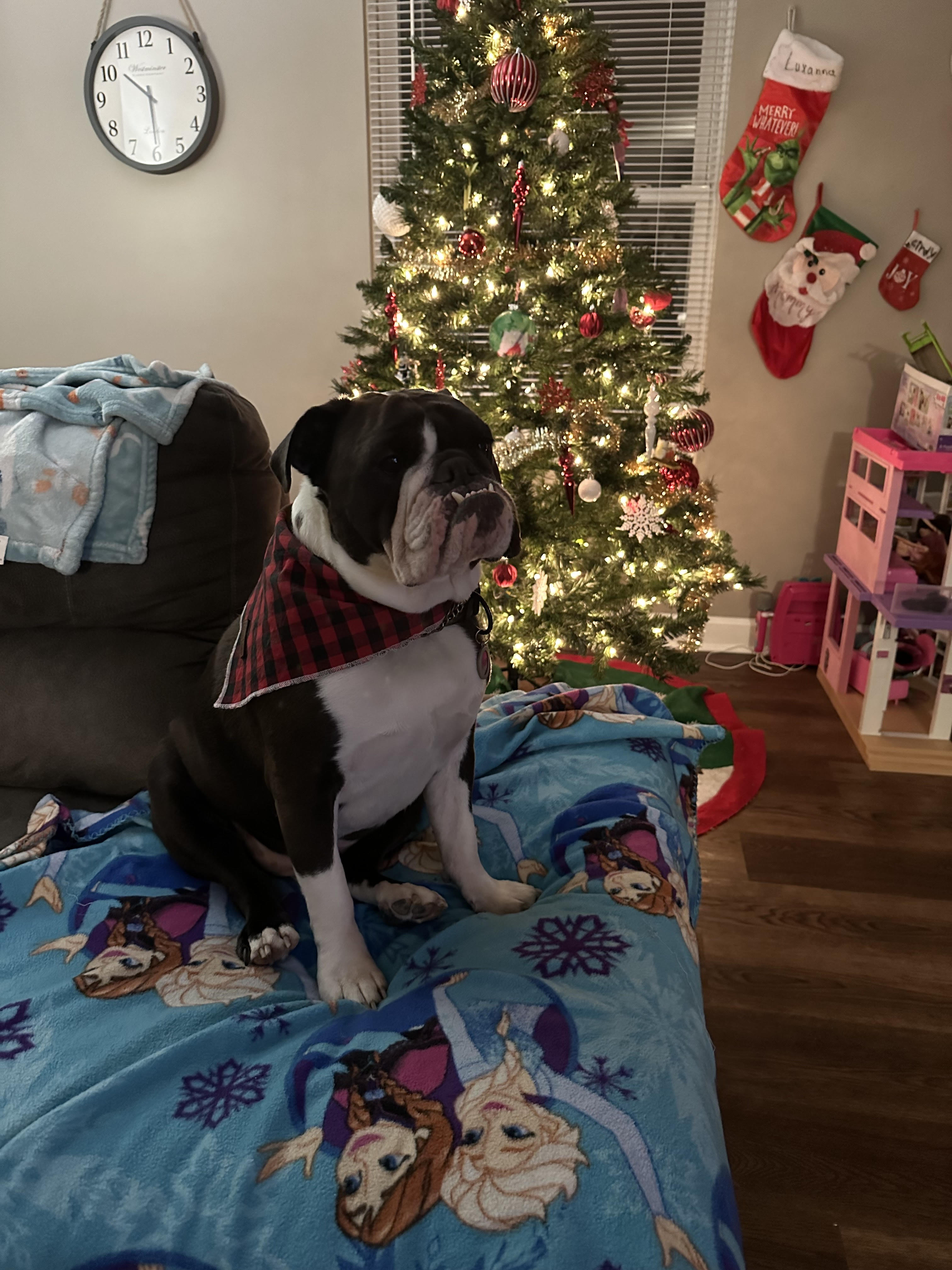 Entry image for Chunk. Clicking this image will show a larger photo