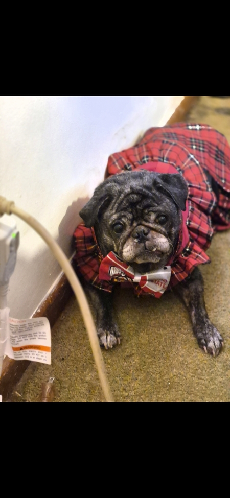 Entry image for Ana. Clicking this image will show a larger photo