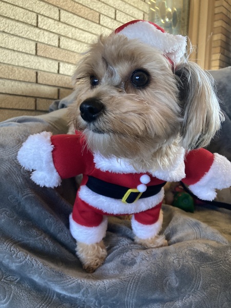 Entry image for Lexi. Clicking this image will show a larger photo