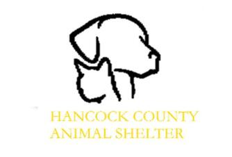 Hancock County Animal Shelter WV  