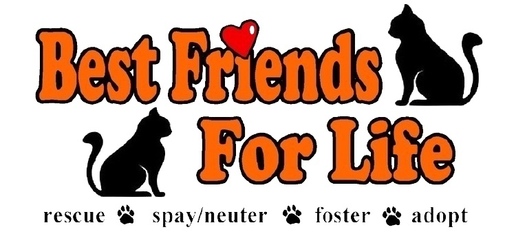 Logo for The Best Friends For Life “Feline Friends: A Year of Purrfection” 2026 Calendar Photo Contest