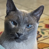 Entry image for Smudge