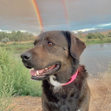 Entry image for Duke