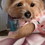 Entry image for Hailey