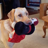 Entry image for Tucker 