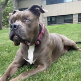 Entry image for Coco