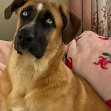 Entry image for Sunny