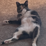 Entry image for Barbara Bean