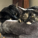 Entry image for Mama and Baby 