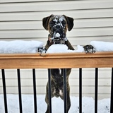 Entry image for Welx