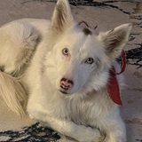 Entry image for Zona