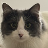 Entry image for Stormy