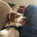 Entry image for Daisy