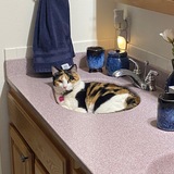 Entry image for Emma