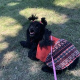 Entry image for Tinkerball