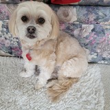 Entry image for Maddie