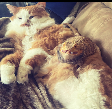 Entry image for Winston and chuck. Clicking this image will show a larger photo