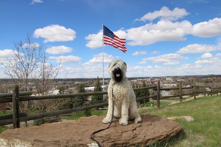 Entry image for Tessa. Clicking this image will show a larger photo