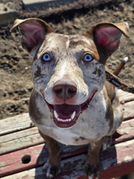 Entry image for Max. Clicking this image will show a larger photo