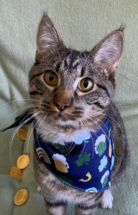 Entry image for Ollie, my lucky charm . Clicking this image will show a larger photo