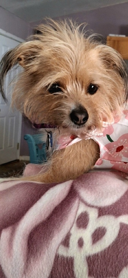 Entry image for Hailey. Clicking this image will show a larger photo