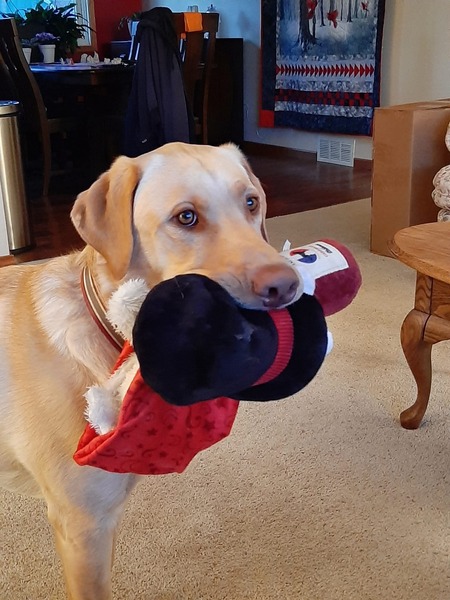 Entry image for Tucker . Clicking this image will show a larger photo