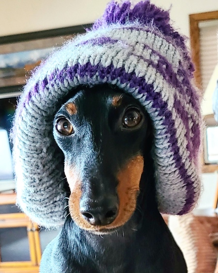 Entry image for Ryley. Clicking this image will show a larger photo