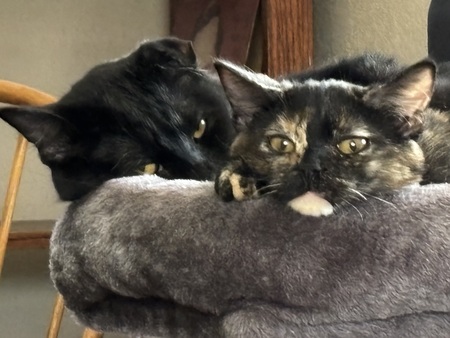 Entry image for Mama and Baby . Clicking this image will show a larger photo