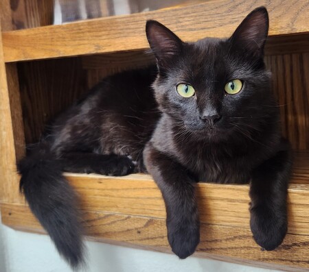 Entry image for Crybaby Jim. Clicking this image will show a larger photo