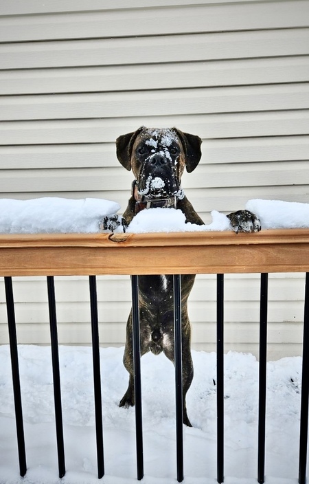 Entry image for Welx. Clicking this image will show a larger photo