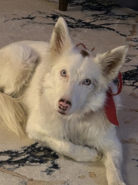 Entry image for Zona. Clicking this image will show a larger photo