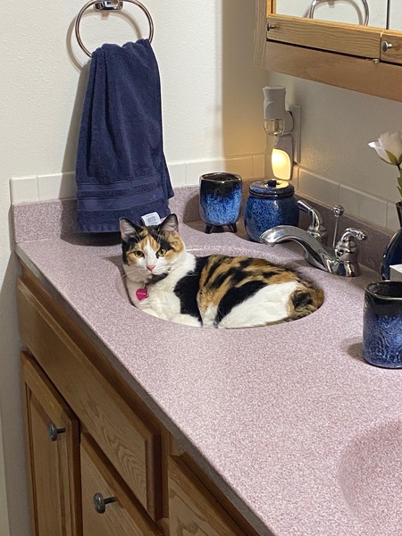 Entry image for Emma. Clicking this image will show a larger photo