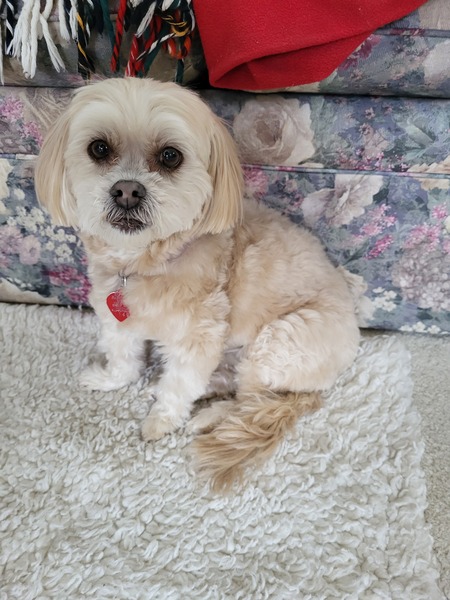 Entry image for Maddie. Clicking this image will show a larger photo