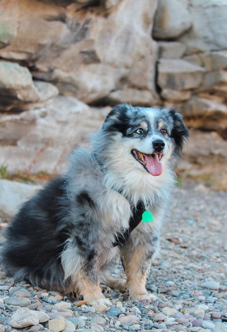 Entry image for Diogi. Clicking this image will show a larger photo