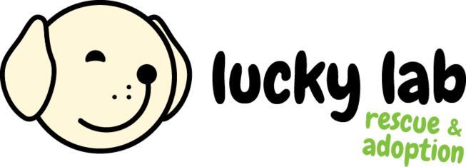Logo for Lucky Lab Rescue & Adoption 2026 Calendar Photo Contest