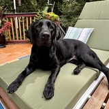 Entry image for Maggie