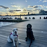 Entry image for Macy and Jackson 