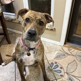 Entry image for Cassie