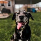 Entry image for Binx