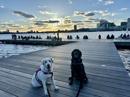 Entry image for Macy and Jackson . Clicking this image will show a larger photo
